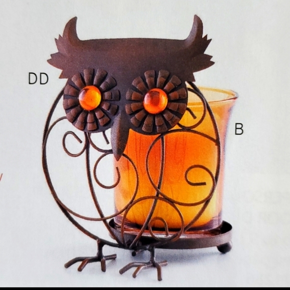 Home Interiors, Catherines, Undercover Wear, Petra Fashions, Lingerie inventory - Picture 11 of 15